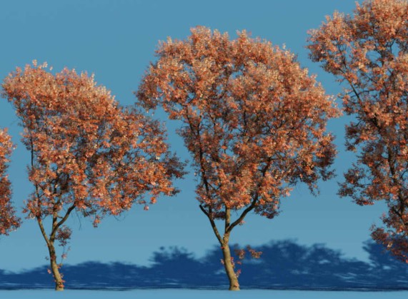 The Grove genera árboles para Blender, actualización de la herramienta basada en Blender para generar modelos biológicamente plausibles.