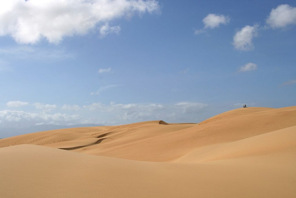 Simular dunas de arena en Houdini con Dune Solver - Duna en Venezuela