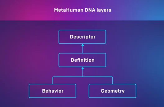 Capas lógicas en archivos de ADN de MetaHuman