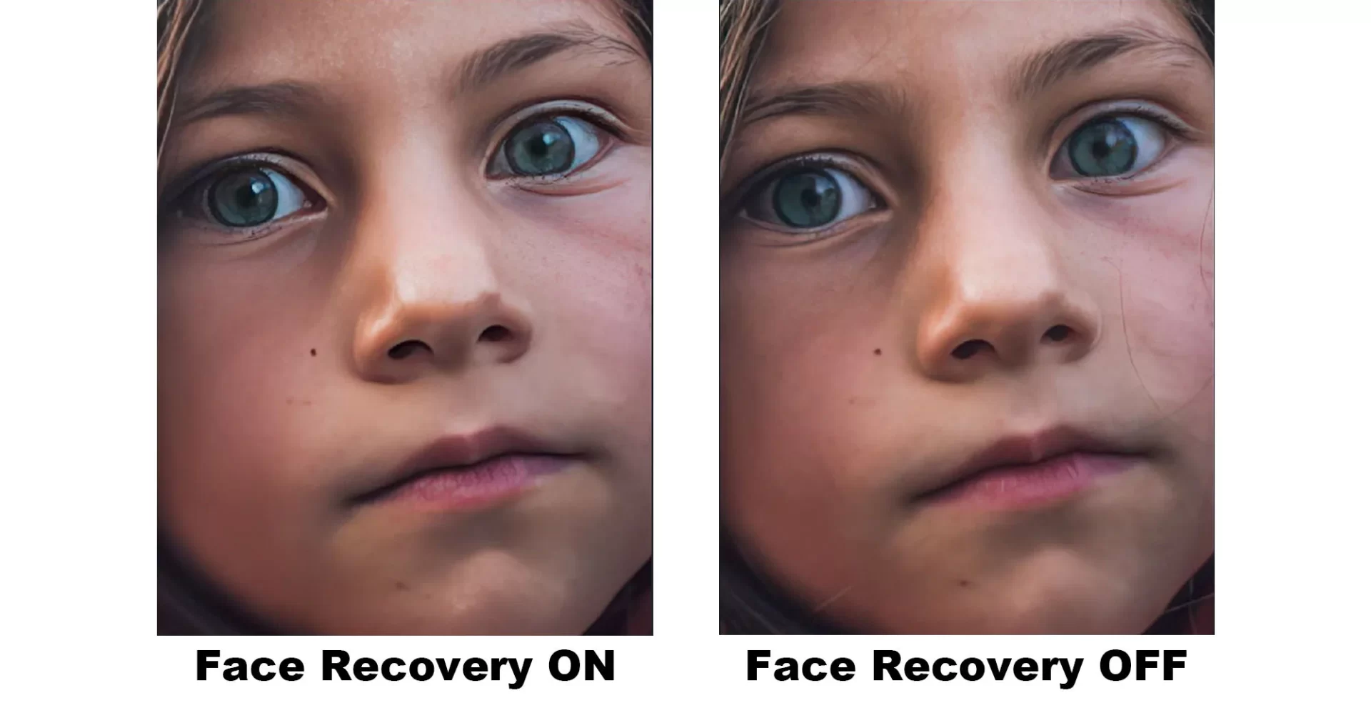 Recuperación facial fotográfica con Gigapixel - Cómo funciona el modelo de Face Recovery