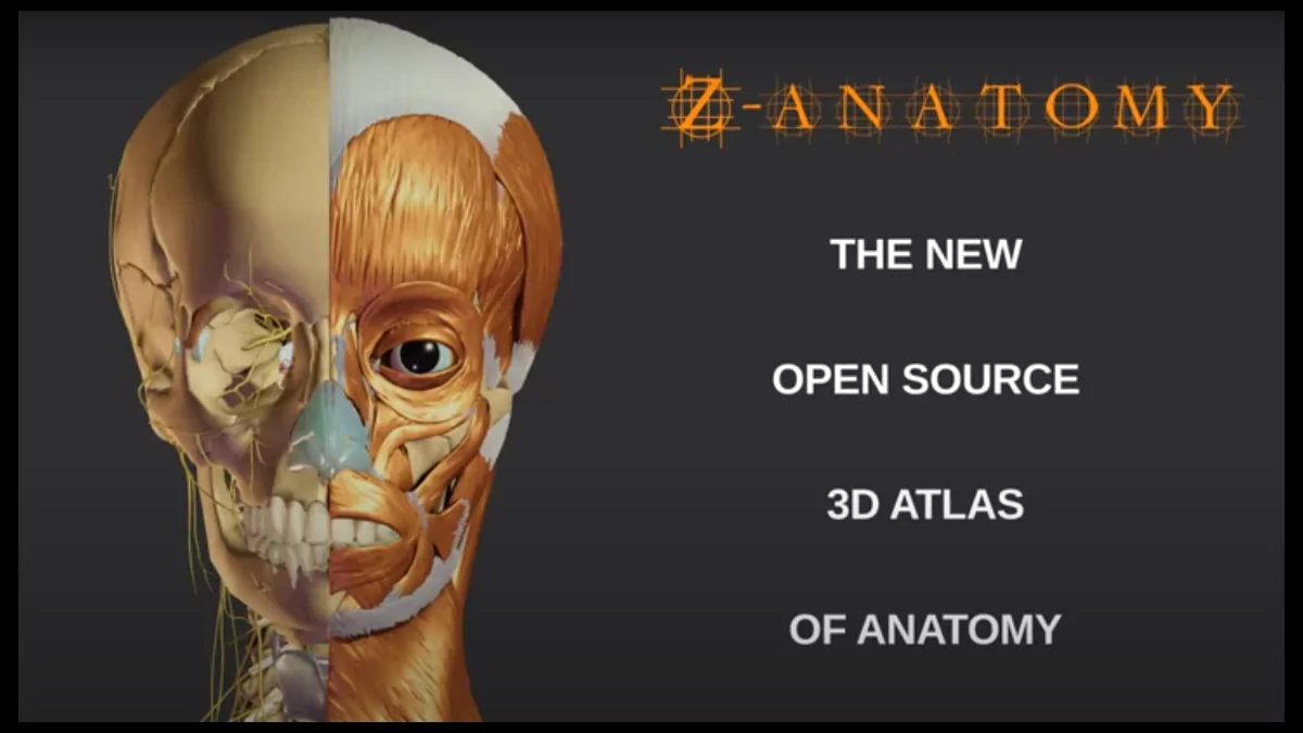 Referencia de anatomía 3D Z-Anatomy un atlas gratuito