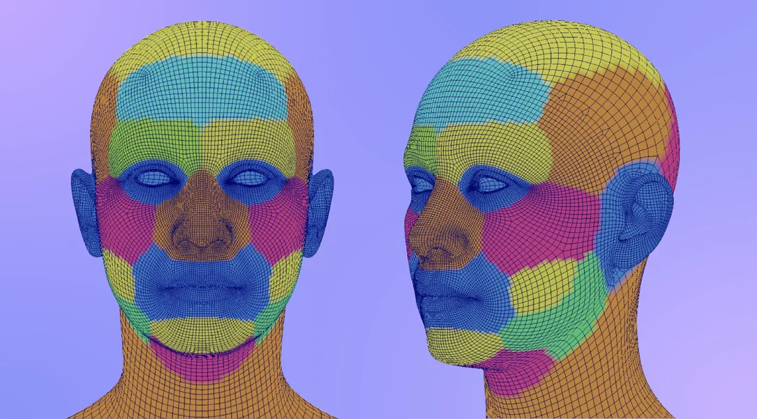 Regiones faciales definidas por color