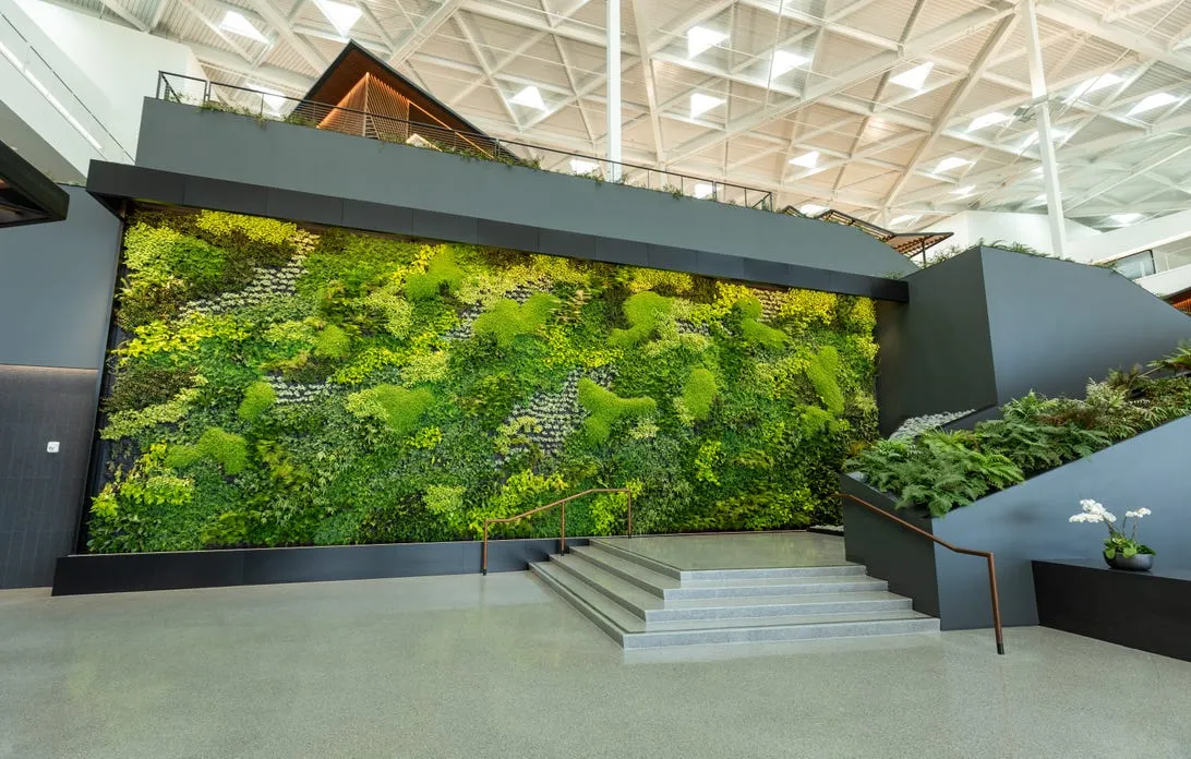 paredes llenas de plantas