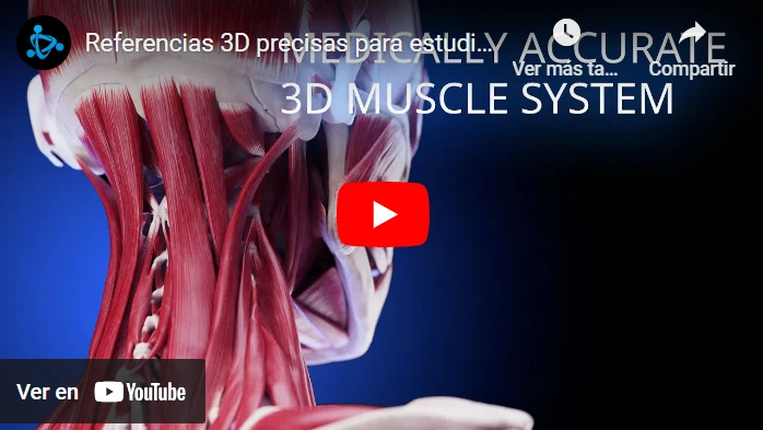 Referencias 3D precisas para estudios de anatomía